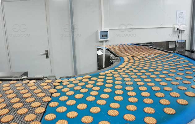 How to Start A Business Making Biscuits in Factory?