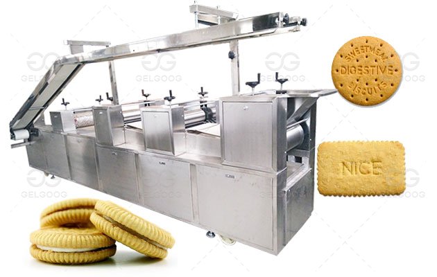 Hard and Soft Biscuit Production Line Manufacturer 300KG/H