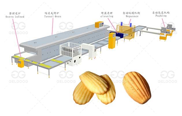 Industrial Madeleine Cake Production Line Large Output