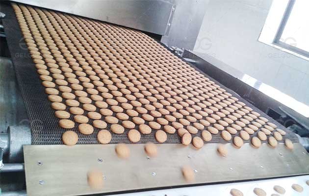 How to Start Biscuit Business for Factory