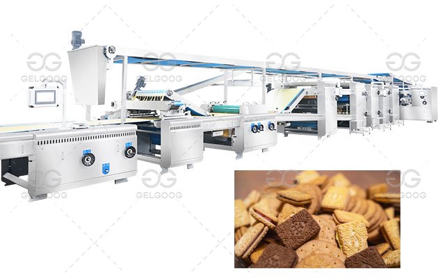 Automatic Biscuit Manufacturing Plant - GELGOOG