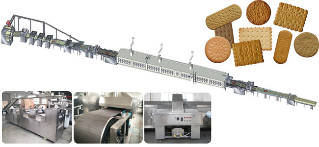 Commercial Biscuit Making Machine in Factory