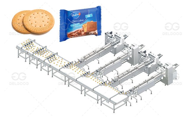 Biscuit Equipment