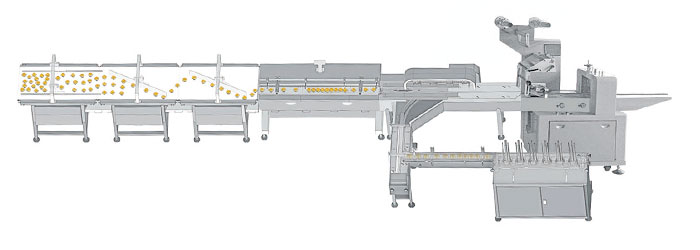 Biscuit Packaging Machine