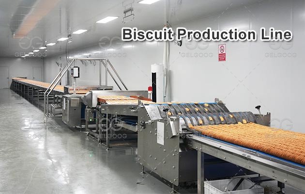 Automatic Biscuit Processing Plant