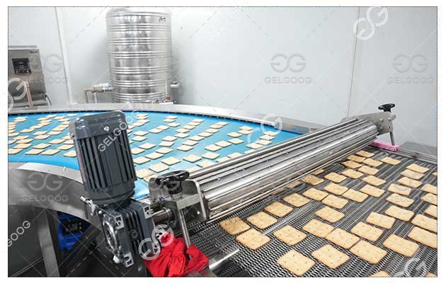 Production Line for Marie Biscuits