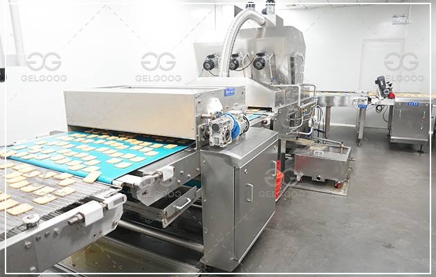 Biscuit Processing Plant Automatic