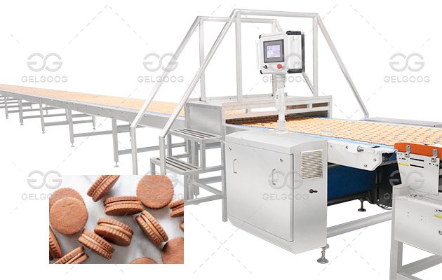 Sandwich Cookie Making Machine Manufacturer